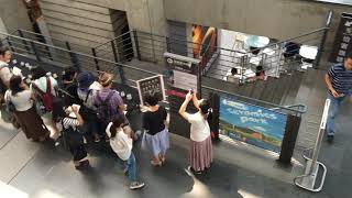 IMG 1333