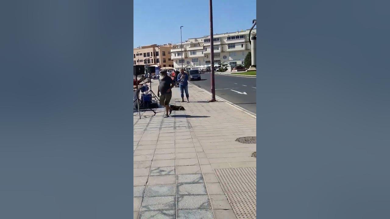 canary-island-in-february-sunday-youtube