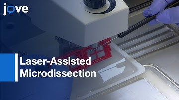 LAM: Tool For Transcriptional Profiling Of Individual Cell Types l Protocol Preview