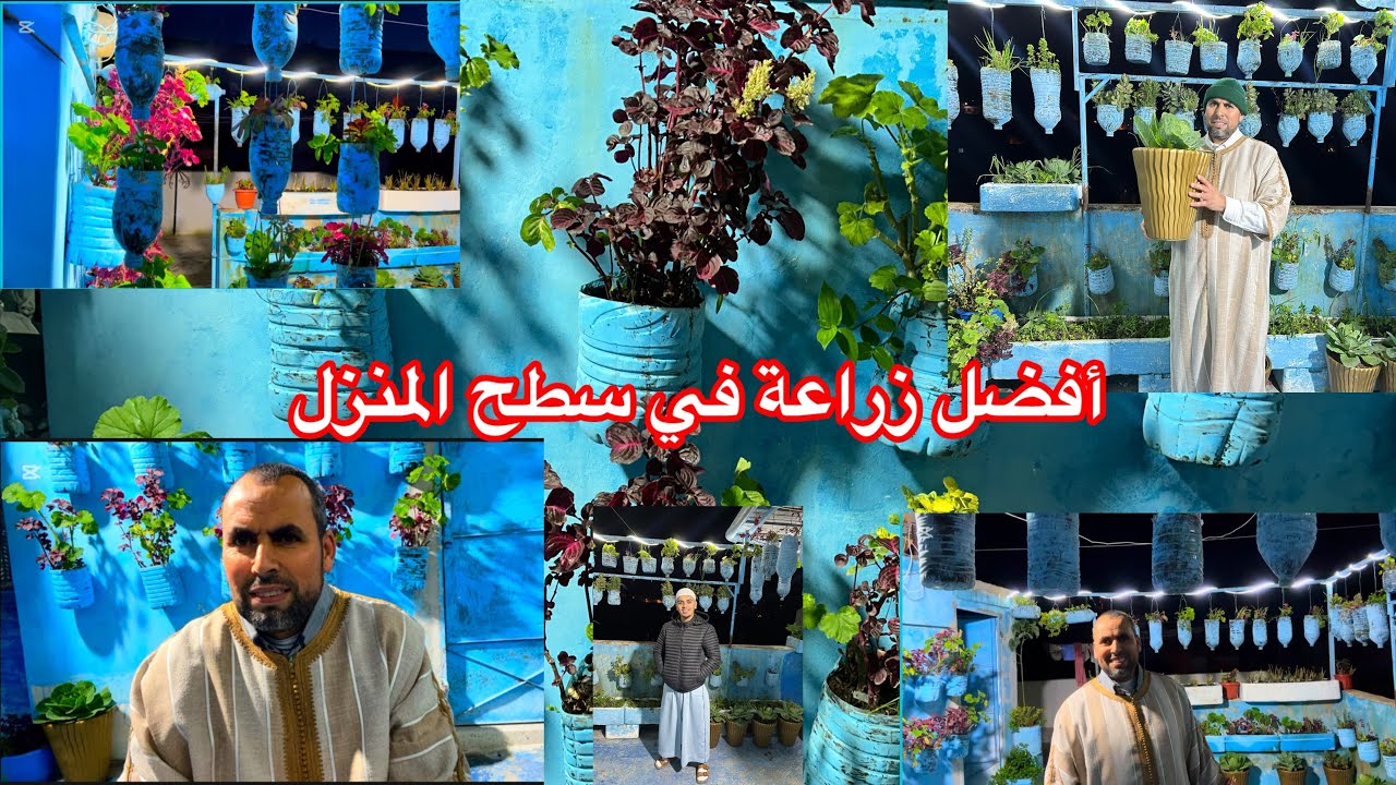 ‏أفضل زراعة في سطح المنزل