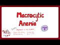 MACROCYTIC ANEMIA - Megaloblastic Anemia, Vitamin B12 and Folate Deficiency  | Rhesus Medicine