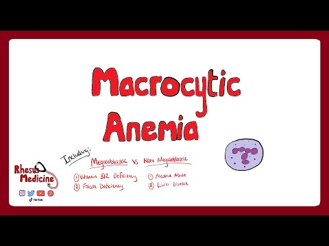 Video: Come trattare l'anemia macrocitica