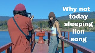 Why not today sleeping lion song 