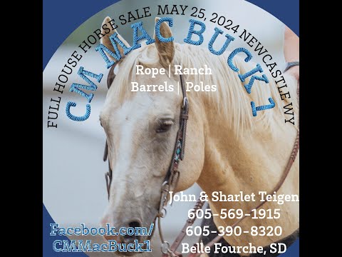 CM Mac Buck 1 Consigned to Full House Elite Horse Sale