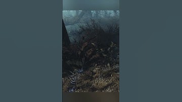 Skyrim and Fallout are NOT in the same universe #shorts #fallout #skyrim