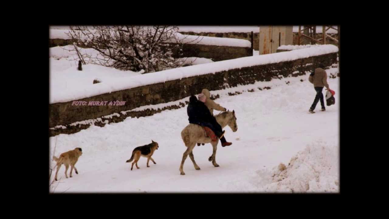 vartoda 2013'teki kış görüntüleri