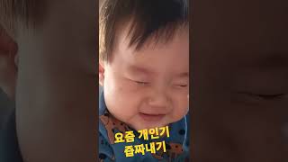 레몬보이의 아침