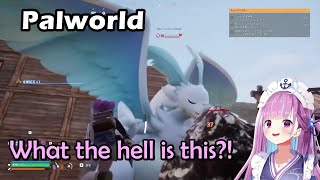 Aqua, Akirose, Fubuki, Koyori, Nene, Towa, and Botan Having Fun In Palworld 【Hololive English Sub】