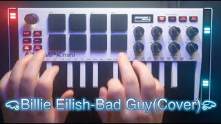 Billie Eilish - Bad Guy / Cover(Akai MPK mini)