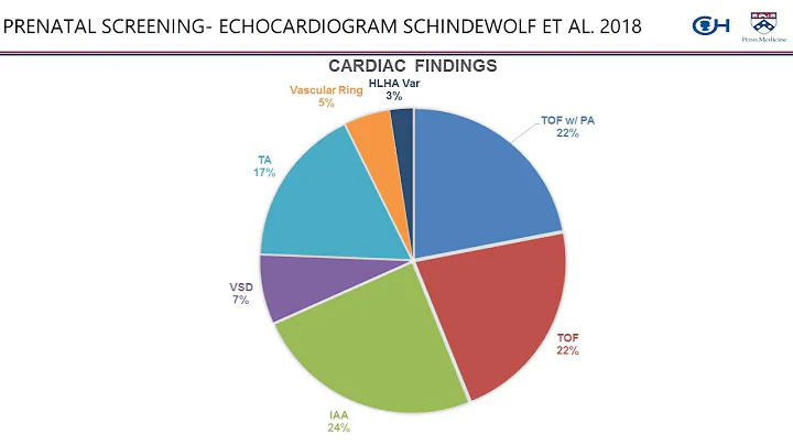 Prenatal Medical Management of 22q11 2 Deletion Syndrome Tips for Families