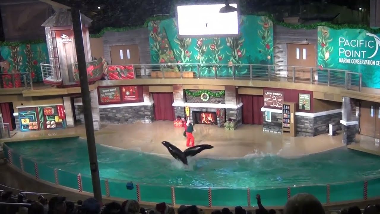 Полная версия шоу «Обратный отсчет до Рождества» Клайда и Симора.