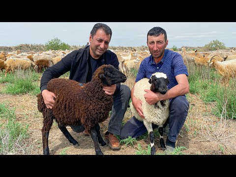 Video: Sådan Tilberedes Khinkali I En Dobbeltkedel