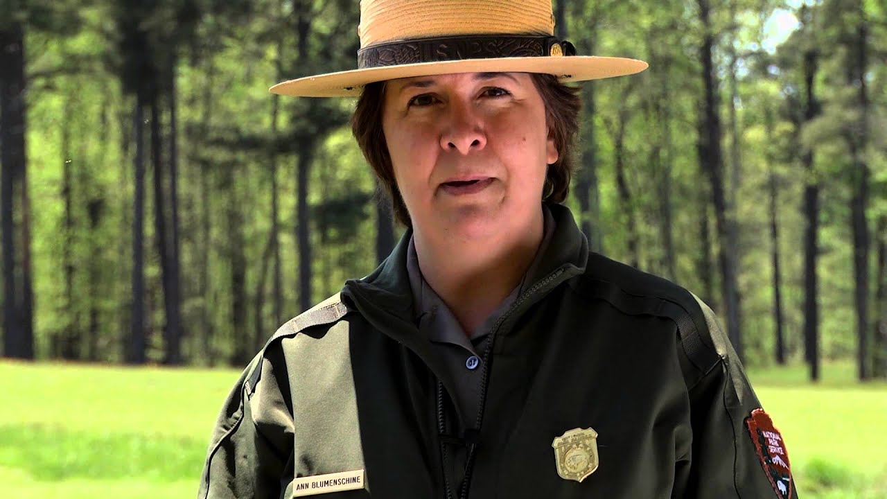 Reverberations: Petersburg - Bangor