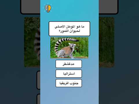ما هو المون الأصلي لحيوان اللمور إختبر ذكاءك اختبر عقلك تعلم اختبر نفسك اكسبلور سؤال وجواب