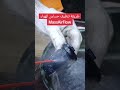 طريقة تنظيف حساس الهواء 
