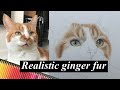 Realistic Cat Drawing | PART 2 - GINGER FUR | Real time drawing tutorial