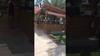 4. Augusta 2024 Delphin Deluxe