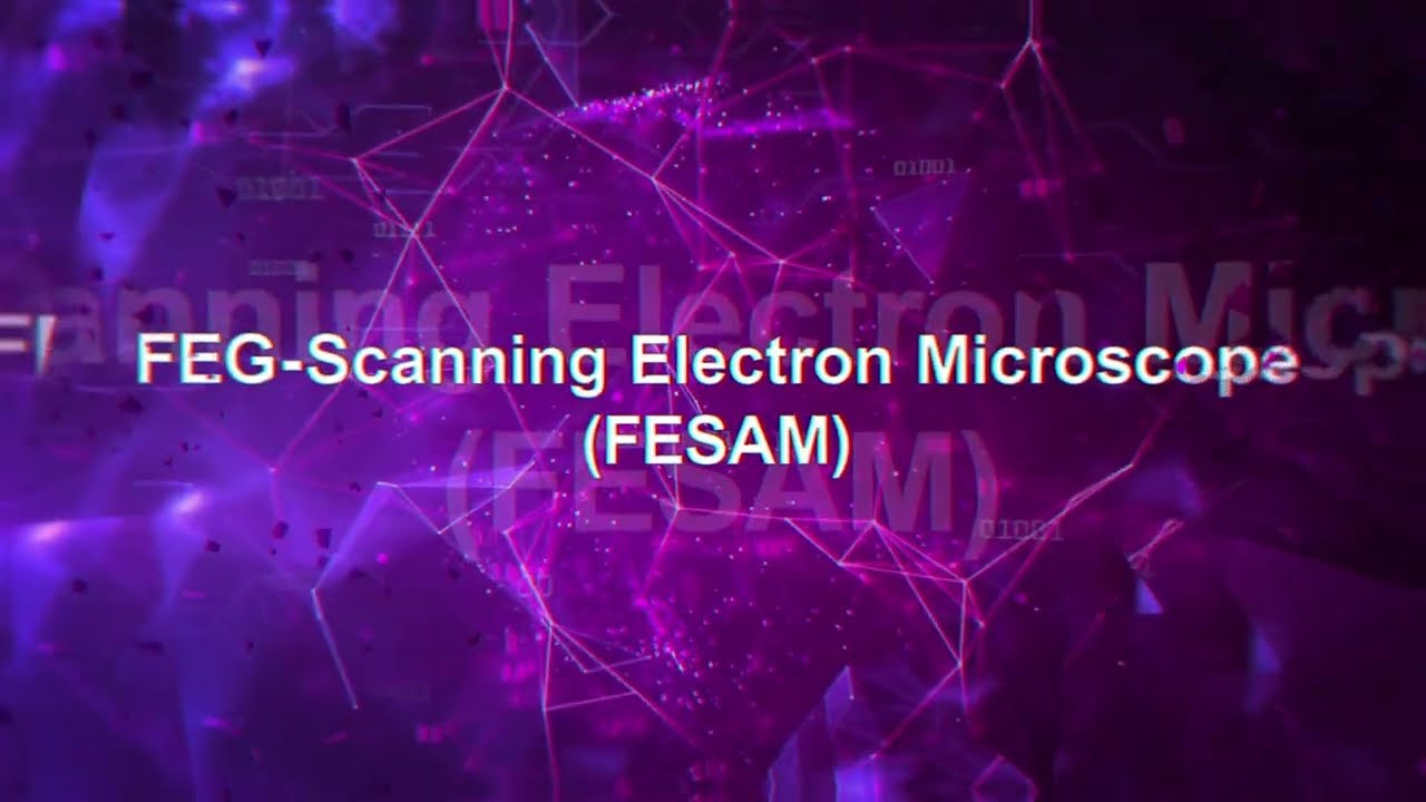 Field Emission Gun Scanning Electron Microscope
