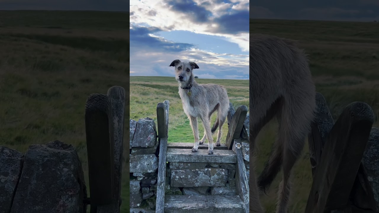 Winnie looking very pretty! 