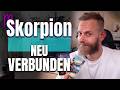 Skorpion: Du musst nicht länger alles alleine tragen