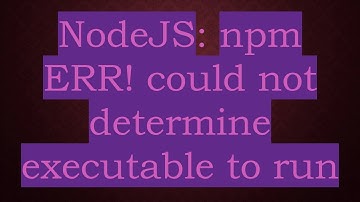 NodeJS: npm ERR! could not determine executable to run