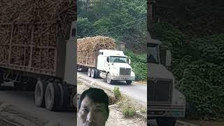 Truk panjang melewati jembatan sempit                          #shorts #truck #supirtruk #longtruck