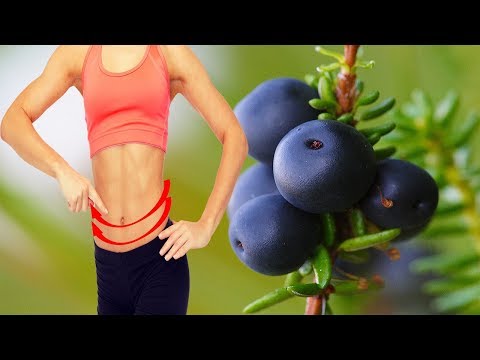 What Crowberries Good For? 16 Health Benefits of Crowberries