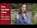 The garden view with melissa rogers state capacity and inequality during a pandemic