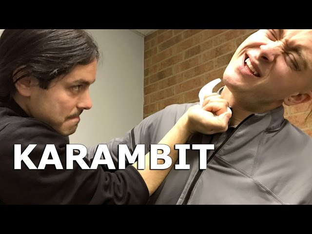 Epic Karambit Fighting Techniques class=