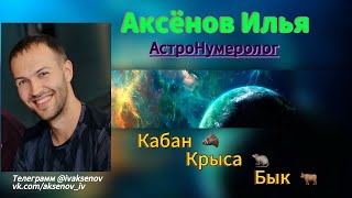 Китайский гороскоп/Тотемология🐉 Кабан | Крыса | Бык | Истинная суть и их маски 🎭
