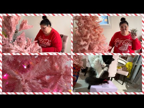 FACCIAMO L’ ALBERO DI NATALE ROSA!!!!🌲 VPOGMAS!