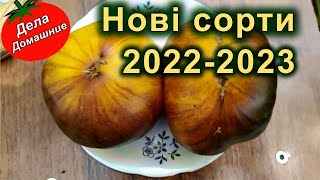 НОВІ СОРТИ ТОМАТІВ 2022-2023 (кращі урожайні сорти помідор)