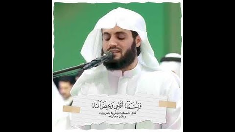 وقيل يا أرض ابلعي مائك ويا سماء اقلعي|القارئ رعد الکردي|سورة هود #قران_كريم