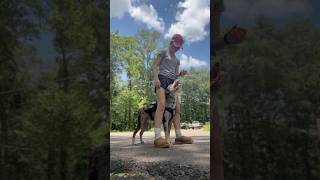 A Few Clips From Todays Walk Whats Your Dogs Favorite Trick?