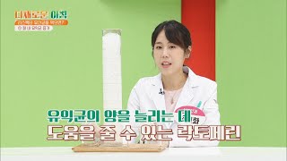 질 내 유익균을 증가시키는 「리스펙타 유산균」 다채로운 아침(themorning) 50회 | JTBC 210824 방송