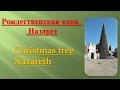 Рождественская елка в Назарете. Christmas tree in Nazareth. Израиль. Israel