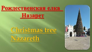 Рождественская елка в Назарете. Christmas tree in Nazareth. Израиль. Israel