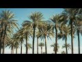 اغنية يا نخل عالي .طبل بلدي 🌴🌴