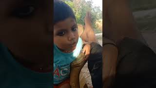 #shortvideo #trending rch child blog #cutebaby #cute