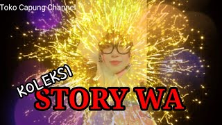 STORY WA KOLEKSI TOKO CAPUNG CHANNEL