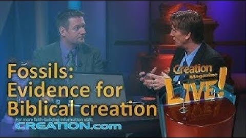 Fossils  Evidence For Biblical Creation