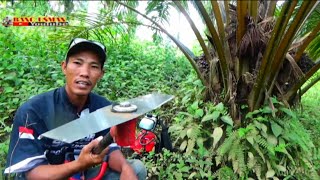 potong Rumput..!! Pakai Pisau Tanika milenium setajam silet