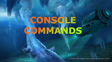 HOW TO USE CONSOLE COMMANDS - Subnautica below zero