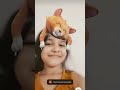 little cat meow meow Kitty cat