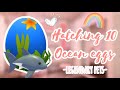 Hatching 10 ocean eggs (Adopt me)