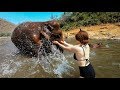 The ONLY elephant experience you should have in Thailand