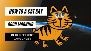 How To A Cat Say Good Morning In 10 Different Languages - How To Say Good Morning In 10 Languages