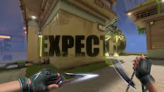 You Just Want Attention Valorant Edit