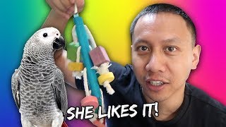 My Parrot's New Toys | Vlog #773