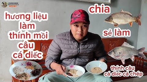 HƯƠNG LIỆU LÀM THÍNH Câu CÁ DIẾC|CHIA SẺ CÁCH LÀM THÍNH CÂU CÁ DIẾC,CÁ CHÉP|Vũ chỉnh fishing#fishing